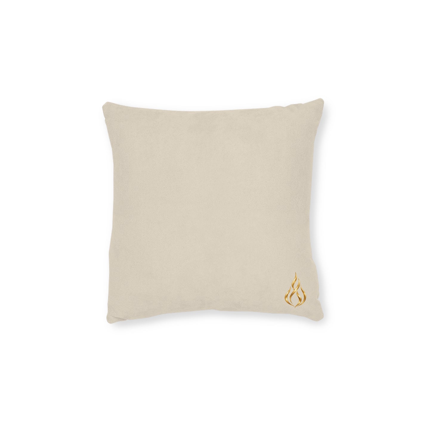 Square Decorative Pillow - Blush Pink Velvet Back, Gold Accent