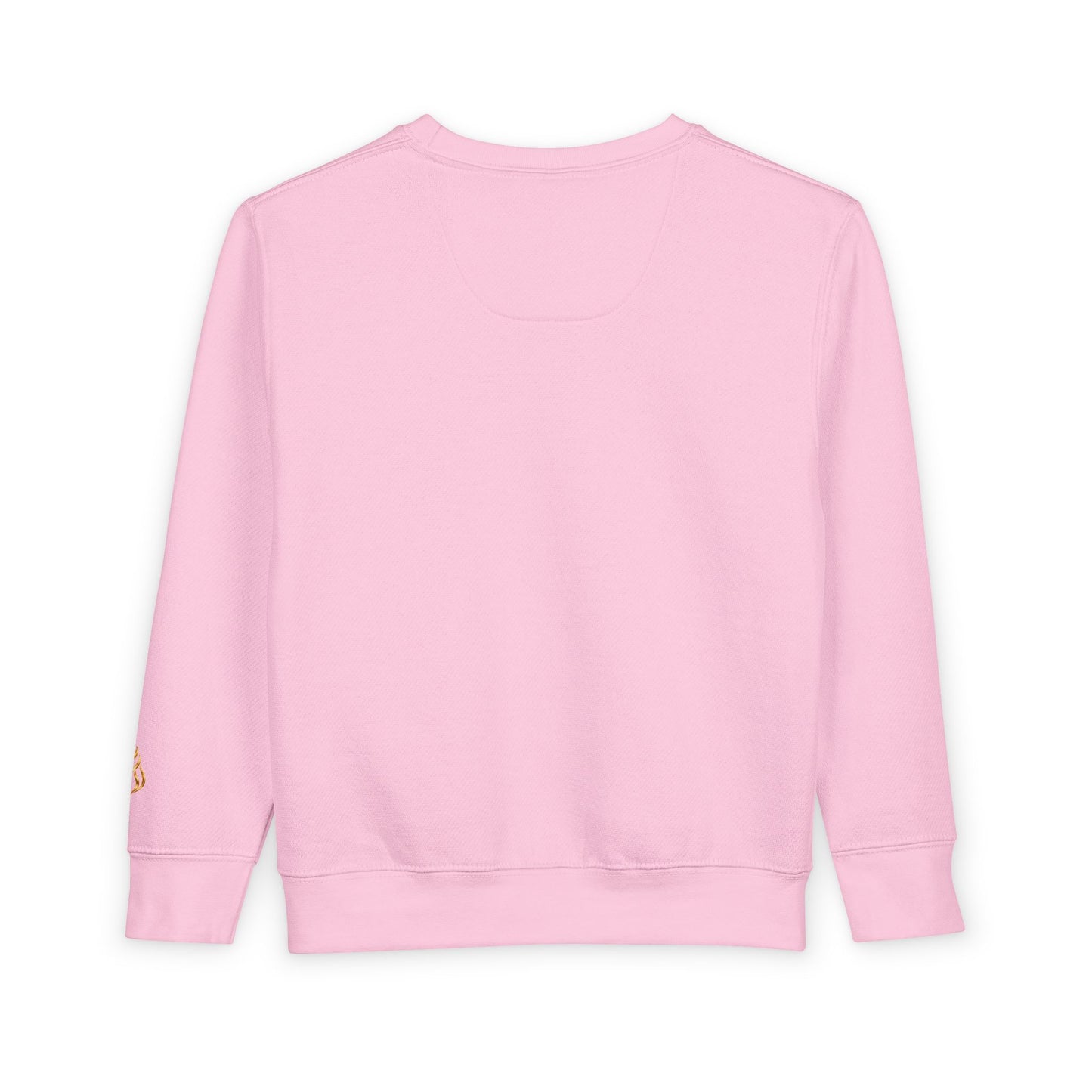 Toddler Sweatshirt – "Bright Future Loading" Cute Inspirational Kids Crewneck (Dream Pray Do Good)