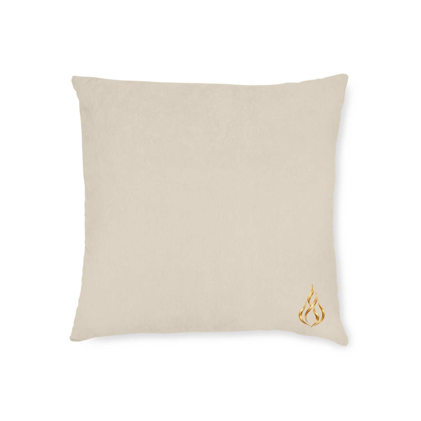 Square Decorative Pillow - Blush Pink Velvet Back, Gold Accent
