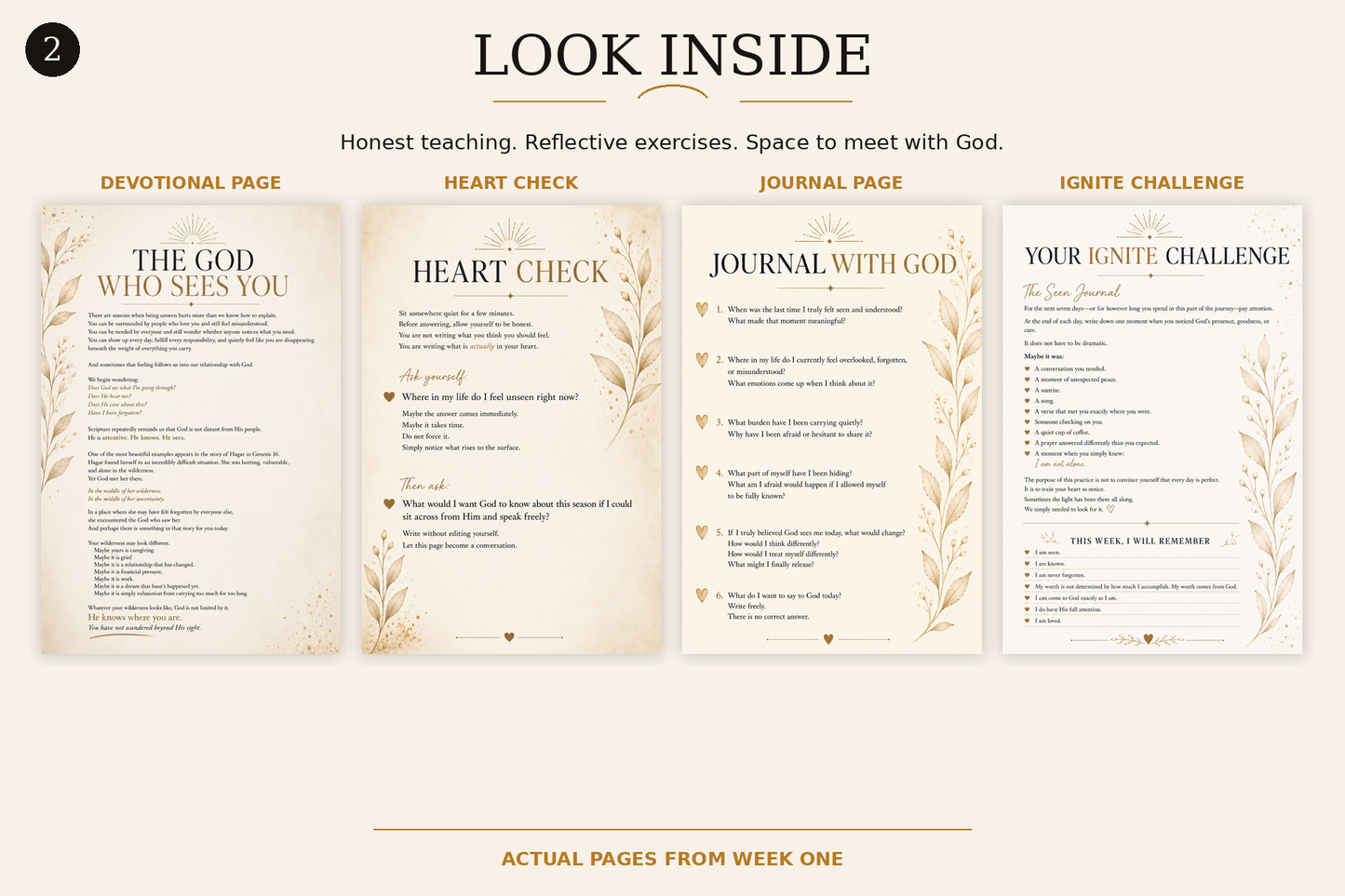 IGNITE Light — The 8-Week Guided Experience
