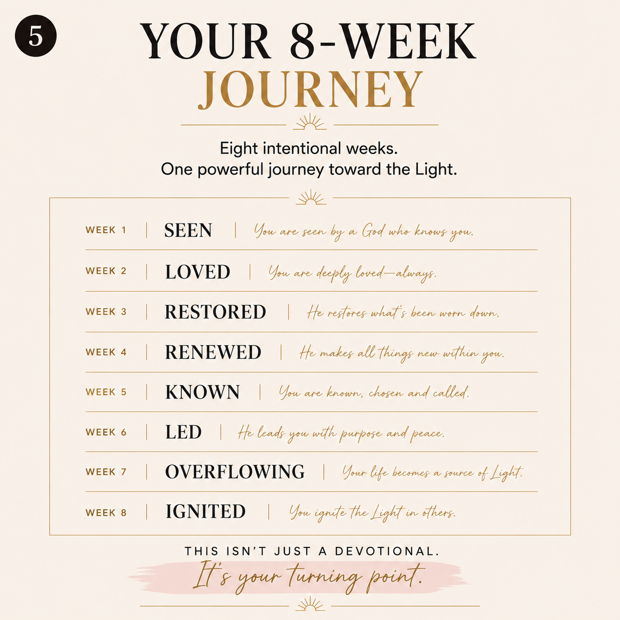 IGNITE Light — The 8-Week Guided Experience